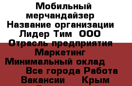 Мобильный мерчандайзер › Название организации ­ Лидер Тим, ООО › Отрасль предприятия ­ Маркетинг › Минимальный оклад ­ 22 500 - Все города Работа » Вакансии   . Крым,Бахчисарай